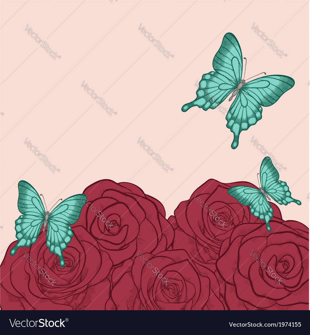 Butterflies and roses in a hand-drawn