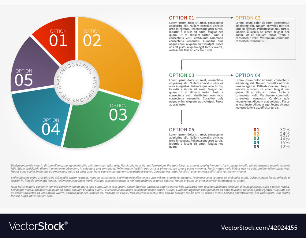 Five options pie chart infographic