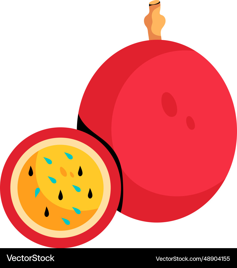 Passion fruit Royalty Free Vector Image - VectorStock