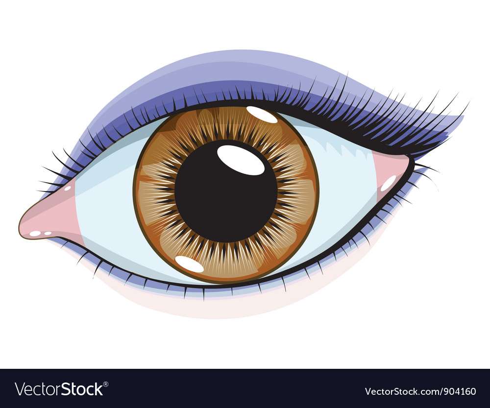 Beautiful eye Royalty Free Vector Image - VectorStock