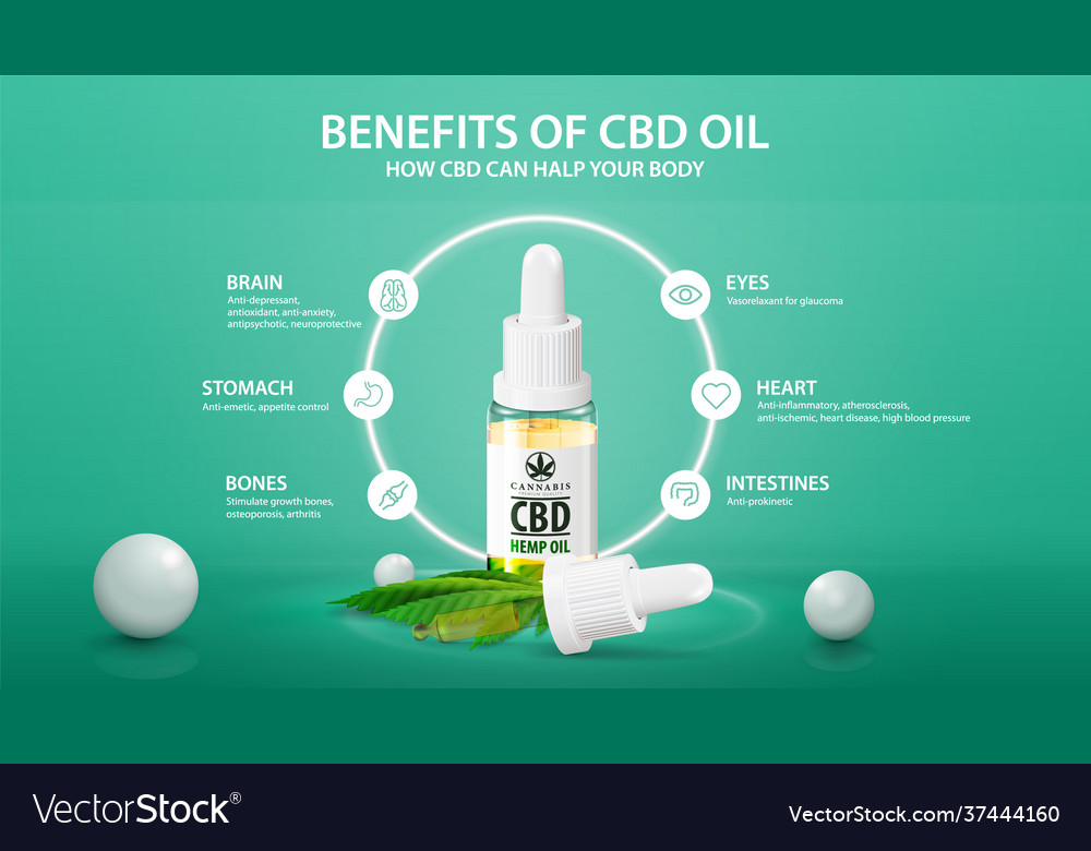 Poster mit infographischen Gesundheitsleistungen cbd