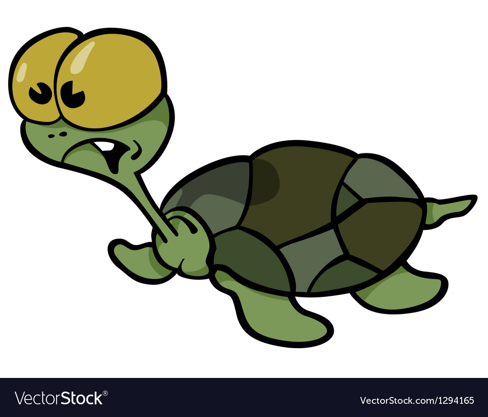 Green turtle Royalty Free Vector Image - VectorStock