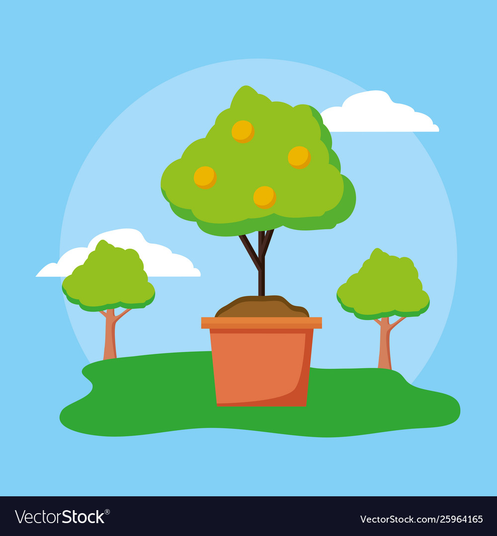 Plants decoration gardening flat design