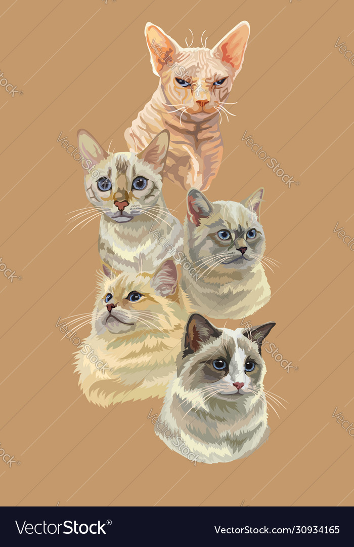 Poster with cats