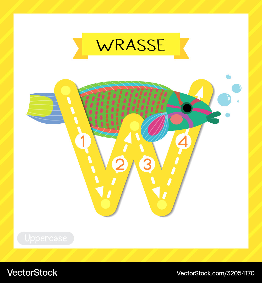 Letter w uppercase tracing wrasse fish Royalty Free Vector