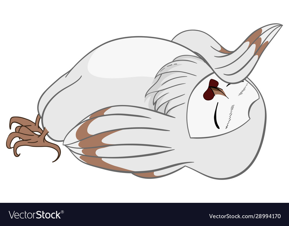 White barn owl drama qween in cartoon