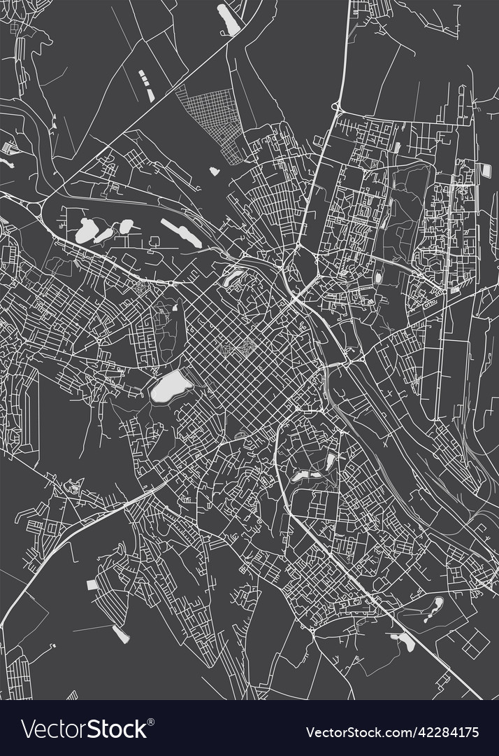 City map chisinau monochrome detailed plan