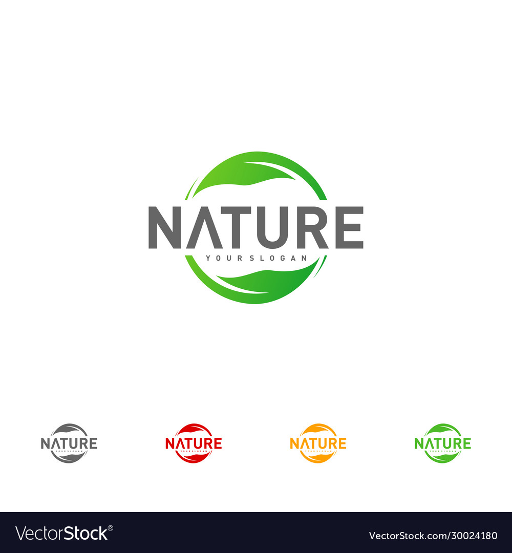 Leaf logo design template nature logo design Vector Image