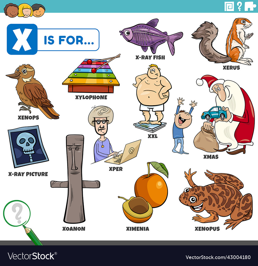 Letter X Words And Pictures Vector Images 47