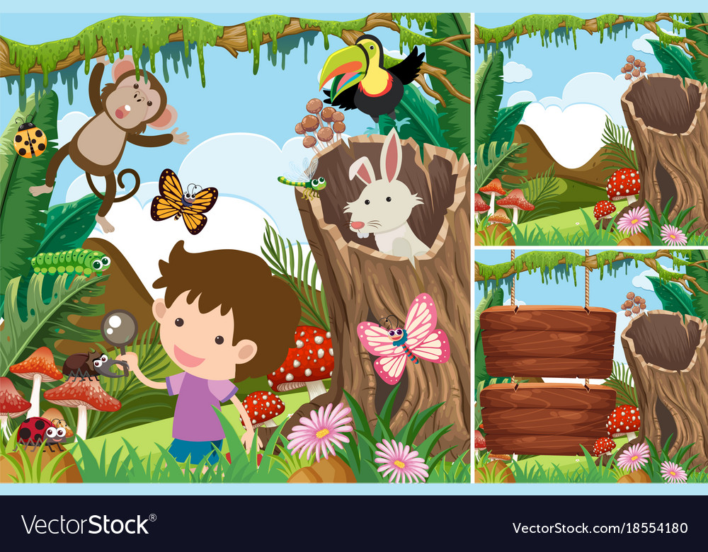 Three forest scenes with boy and animals