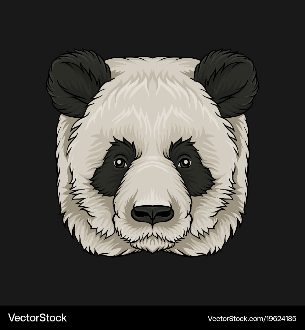 Head panda bear face wild animal hand drawn Vector Image