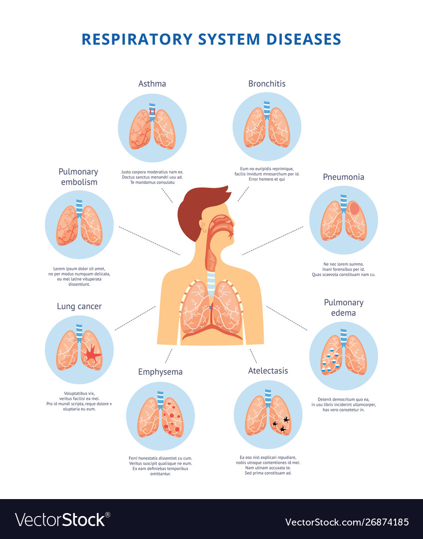 Types Of Respiratory System Disorders Design Talk