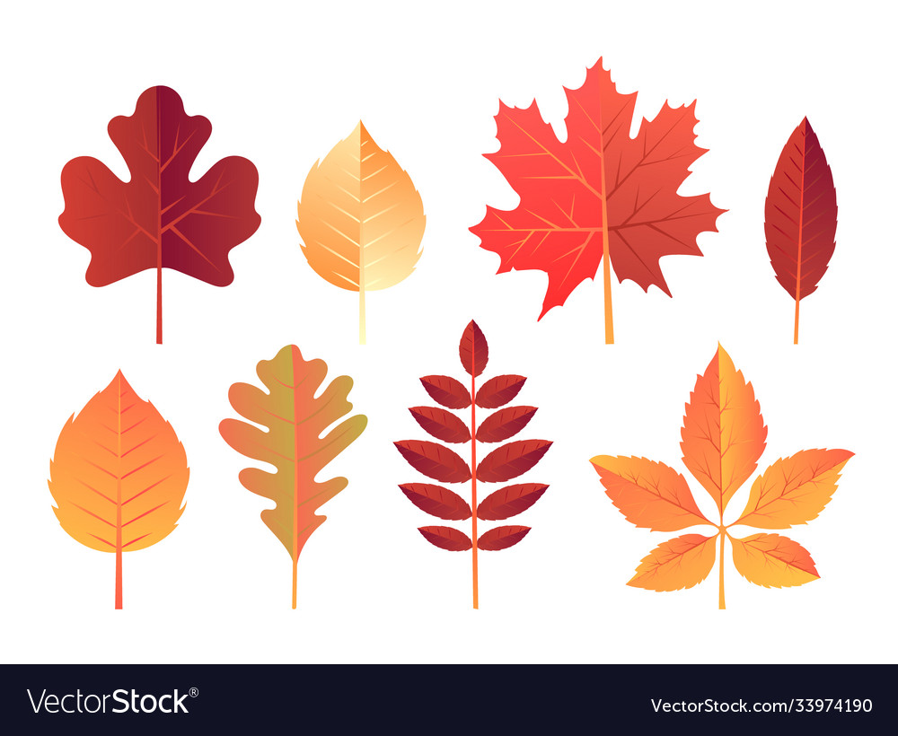 Autumn falling leaves set realistic Royalty Free Vector