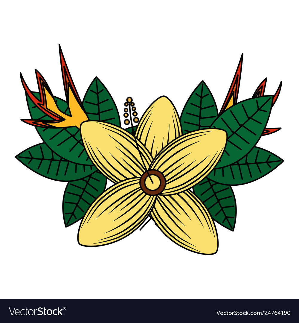 Exotic flower foliage tropical summer Royalty Free Vector