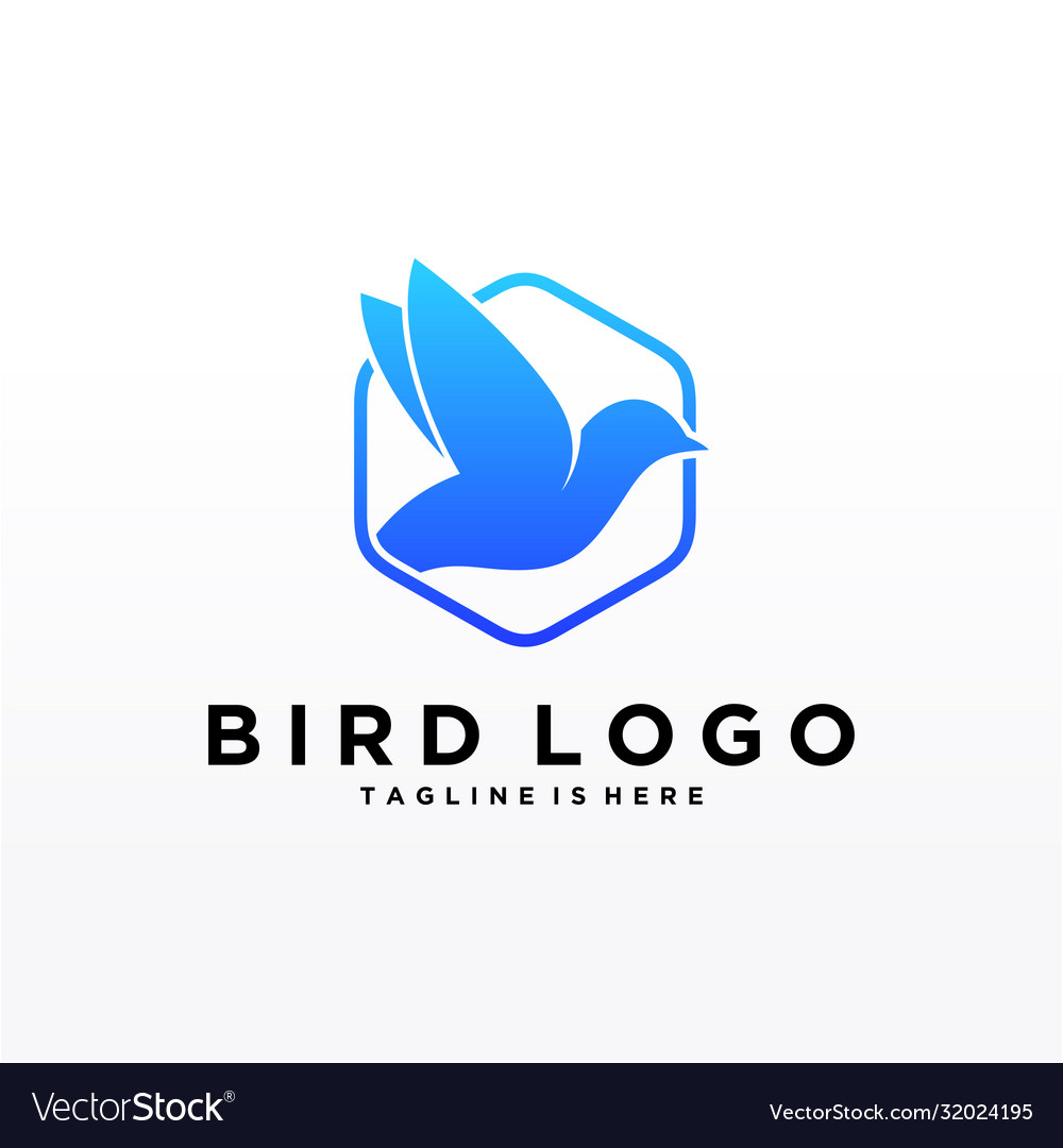 Abstract bird logo design template creative dove Vector Image