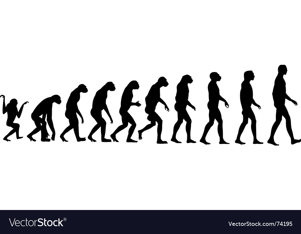 Image result for evolution