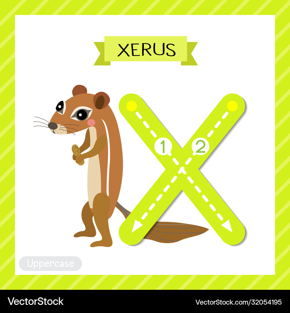 Letter x uppercase tracing xerus Royalty Free Vector Image