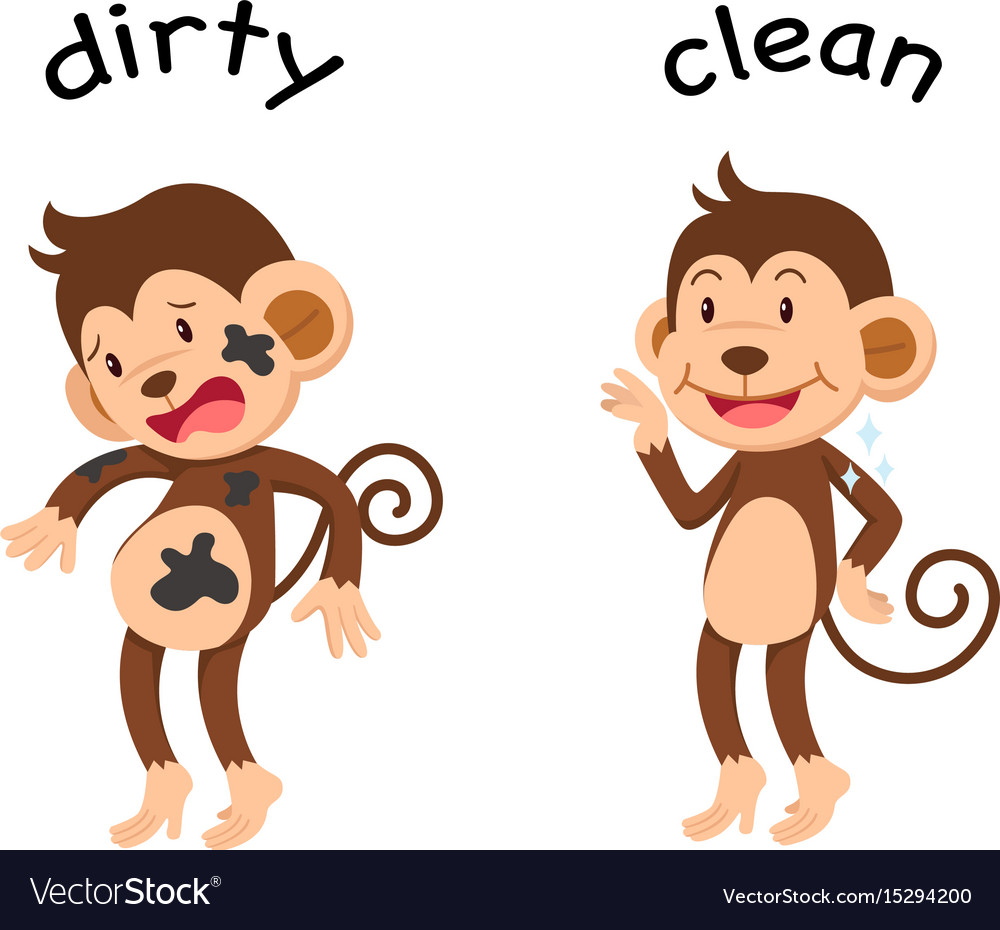 opposite-words-dirty-and-clean-royalty-free-vector-image