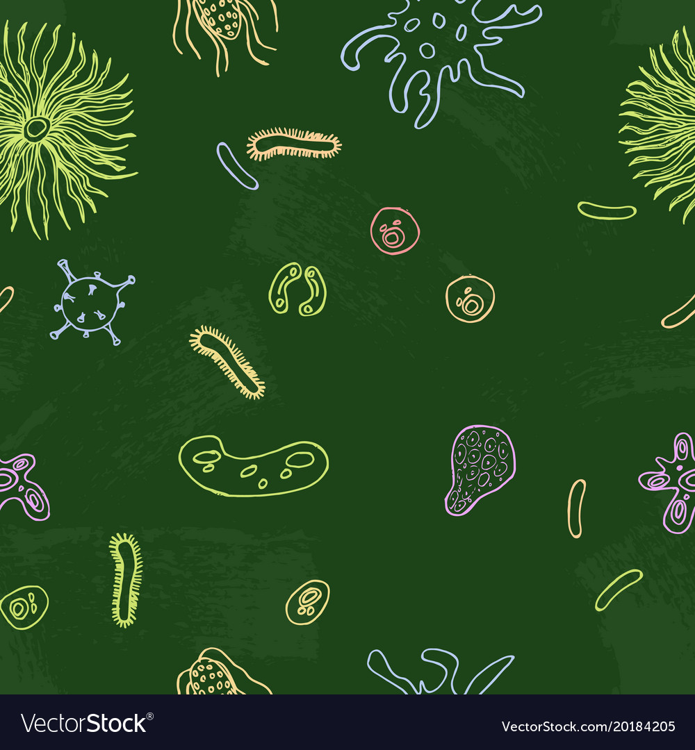 Bacterium drawn on the blackboard