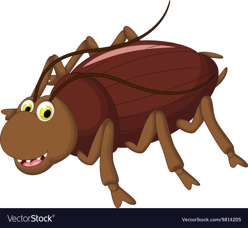 Cockroach cartoon for you design Royalty Free Vector Image