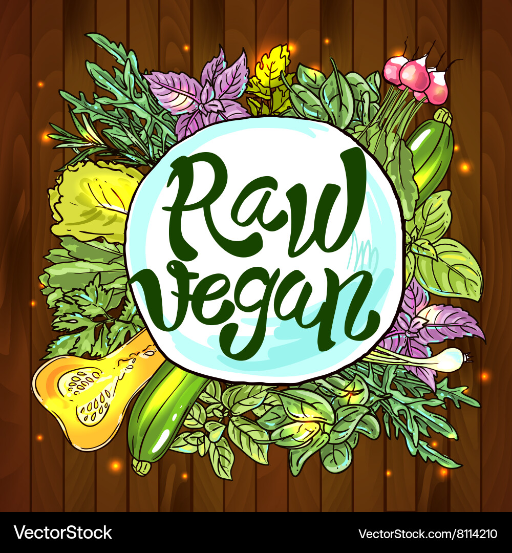 Herbs And Spices Royalty Free Vector Image Vectorstock