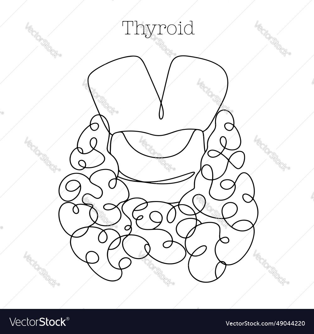 Thyroid one line