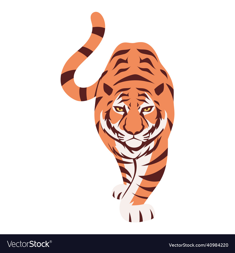 Tiger front view Royalty Free Vector Image - VectorStock