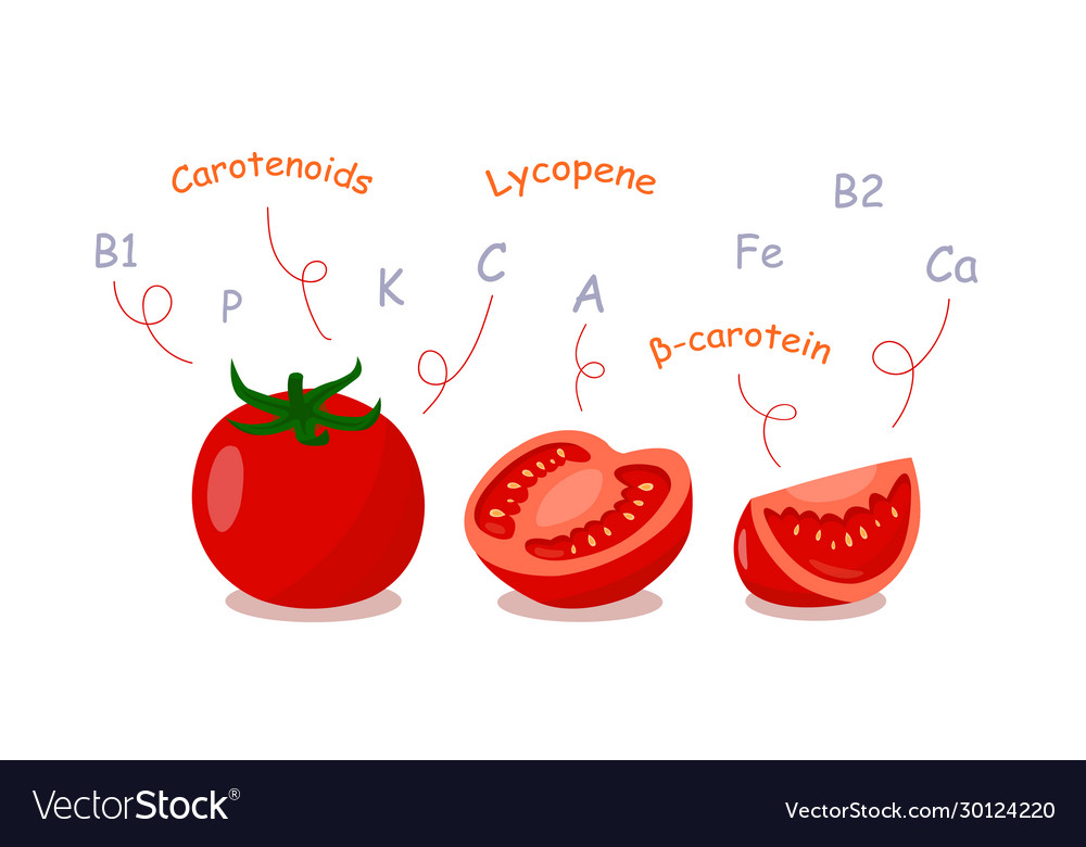 Tomatoes with vitamins and nutrients float on top Vector Image