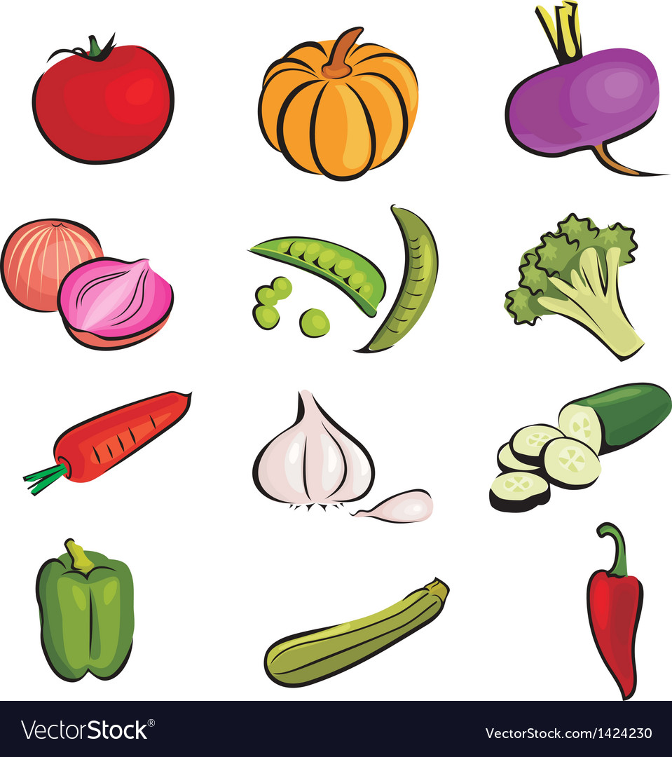 Vegetable Royalty Free Vector Image - VectorStock