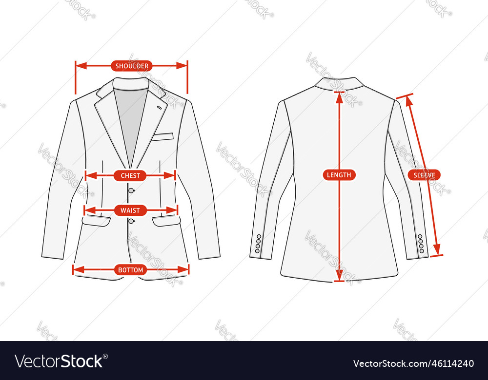 Clothing Size Chart Suit Jacket Royalty Free Vector Image