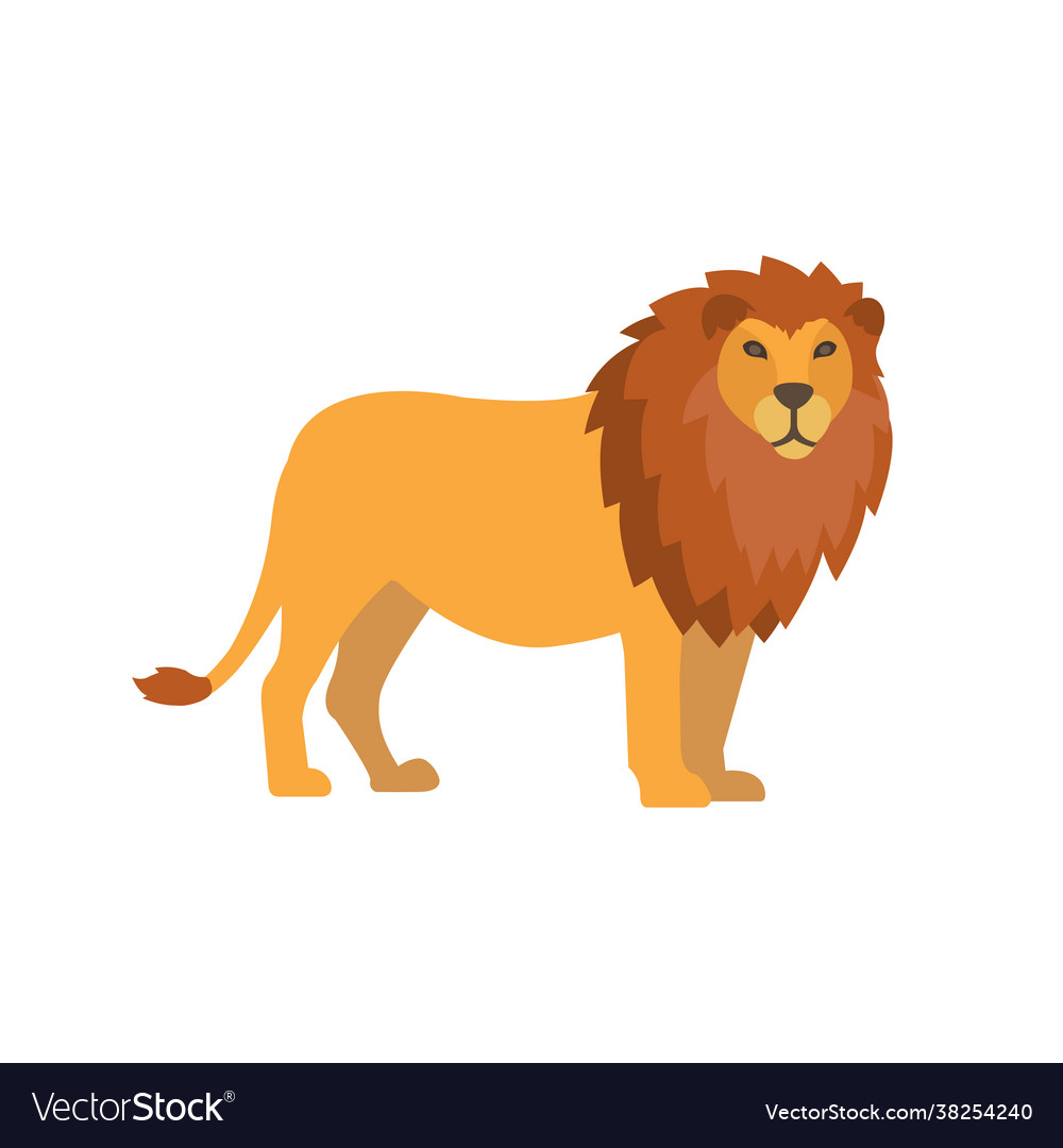 Flat lion isolated on white background