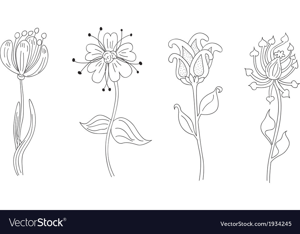 Set four outlined flowers