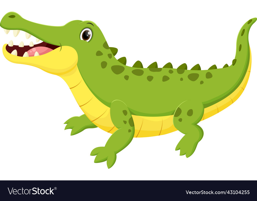 Cute crocodile cartoon isolated on white Vector Image