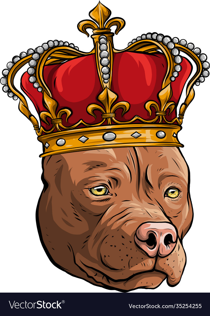 Dog king in white background Royalty Free Vector Image