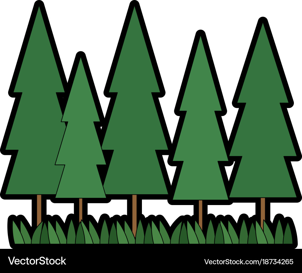 Pine forest scene icon Royalty Free Vector Image