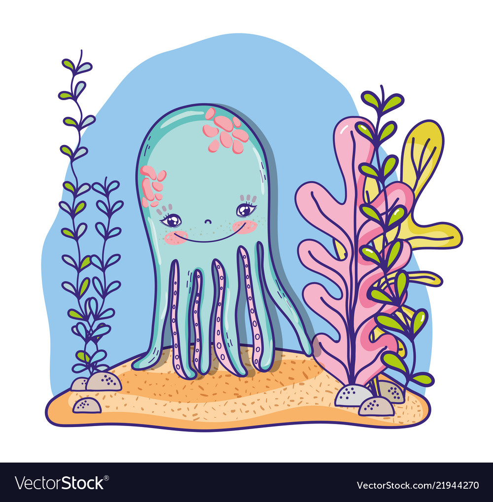 Octopus sea cartoons