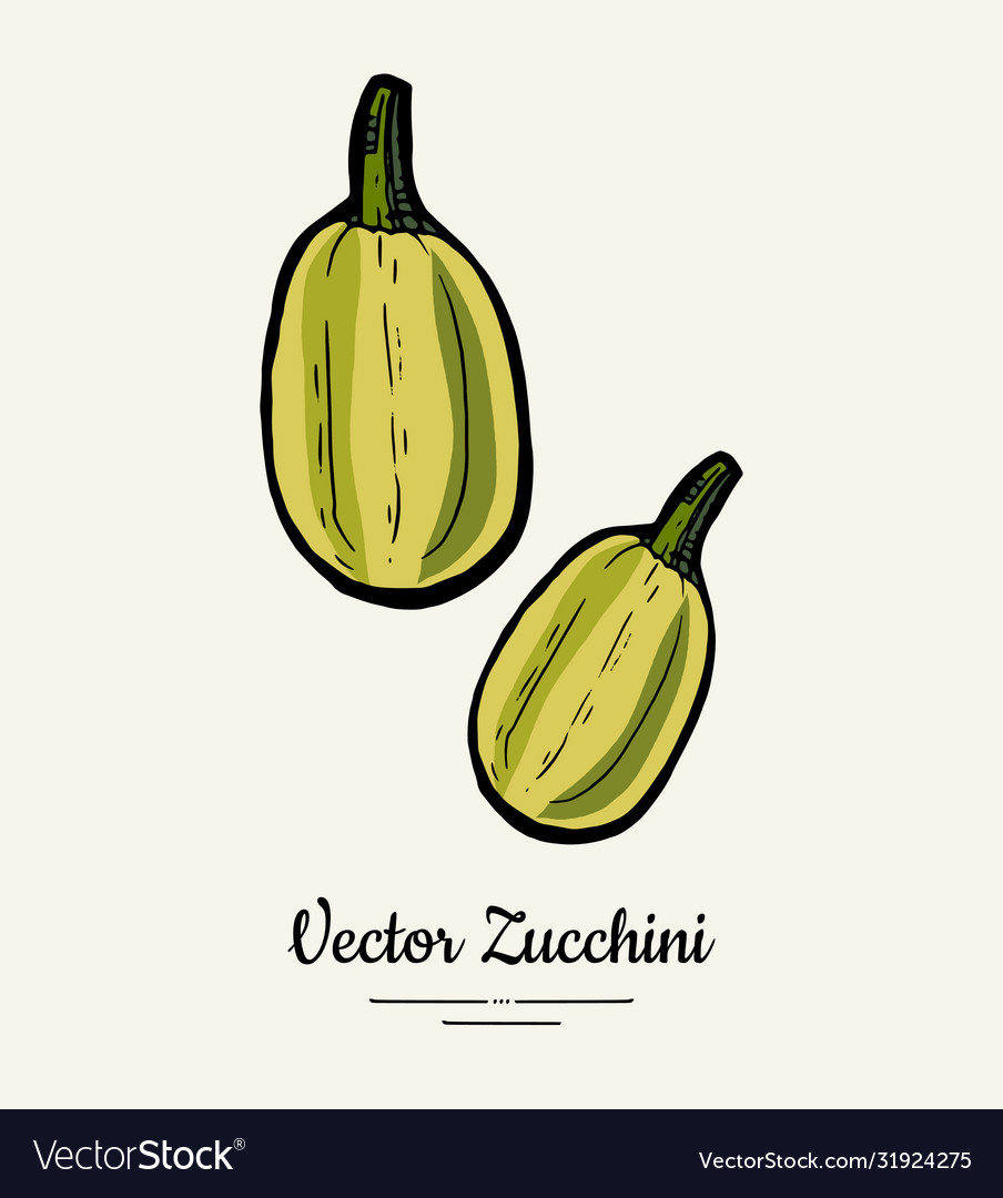 Zucchini Hand gezogen Hipster