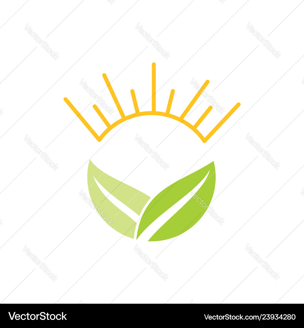 Leaf logo design template isolated Royalty Free Vector Image