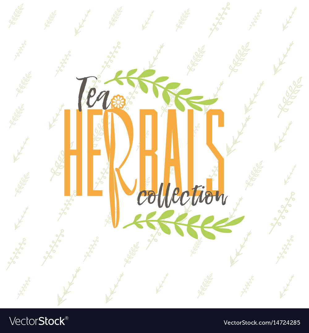 Herbal tea collection badge design sticker Vector Image