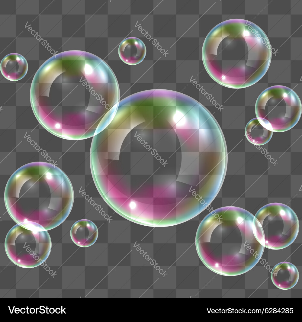 Transparent soap bubbles Royalty Free Vector Image