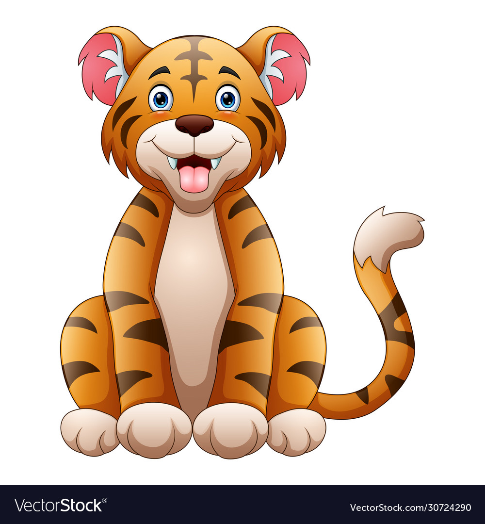 A tiger sitting down on white background