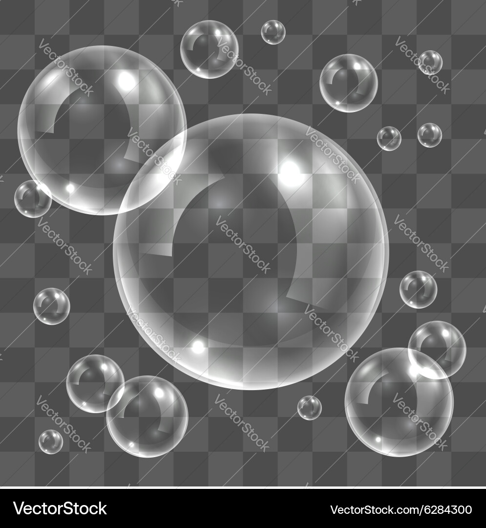 Transparent soap bubbles Royalty Free Vector Image