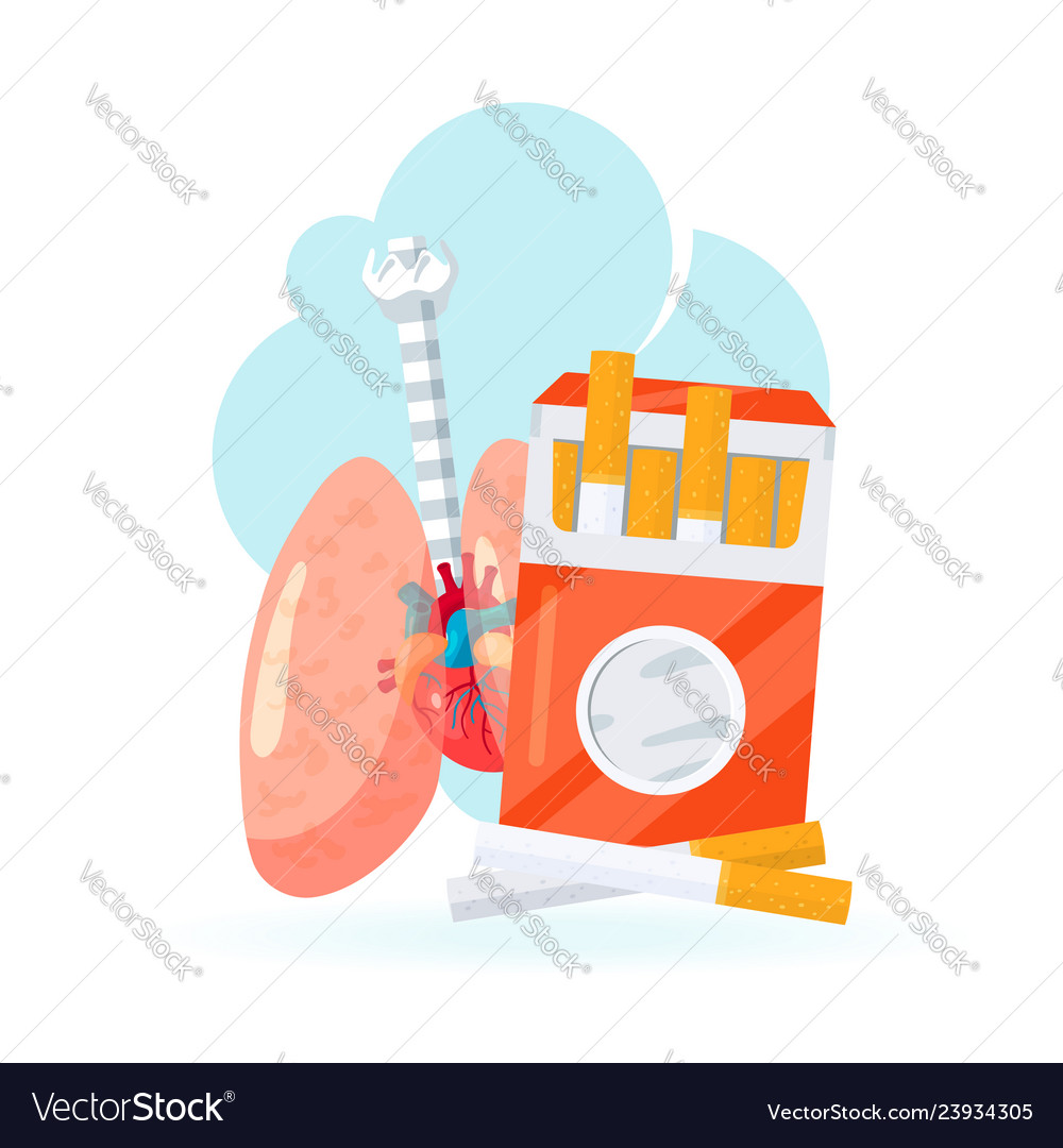 Human lungs icon in flat style