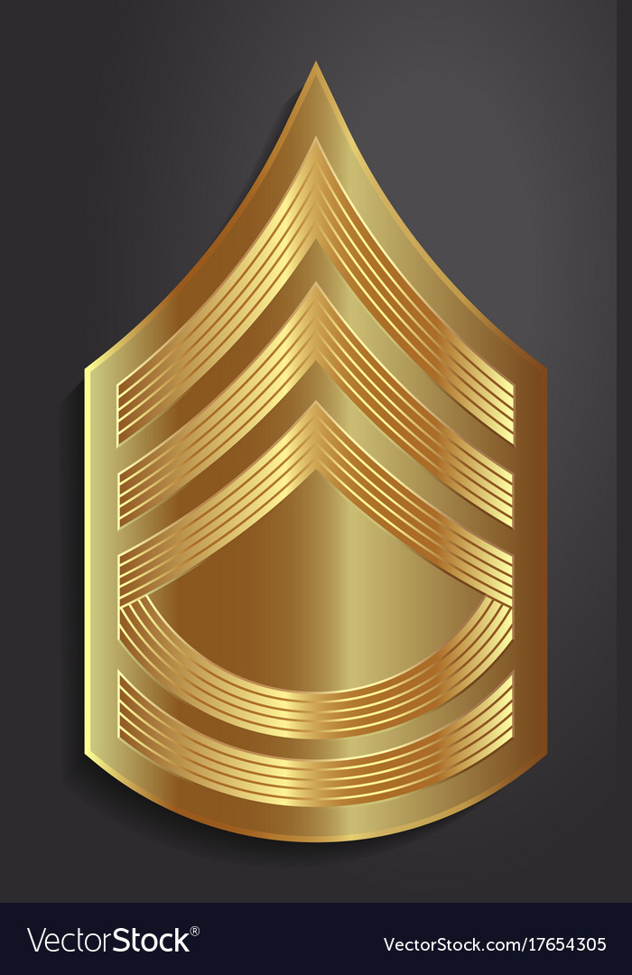 Military ranks and insignia stripes chevrons Vector Image