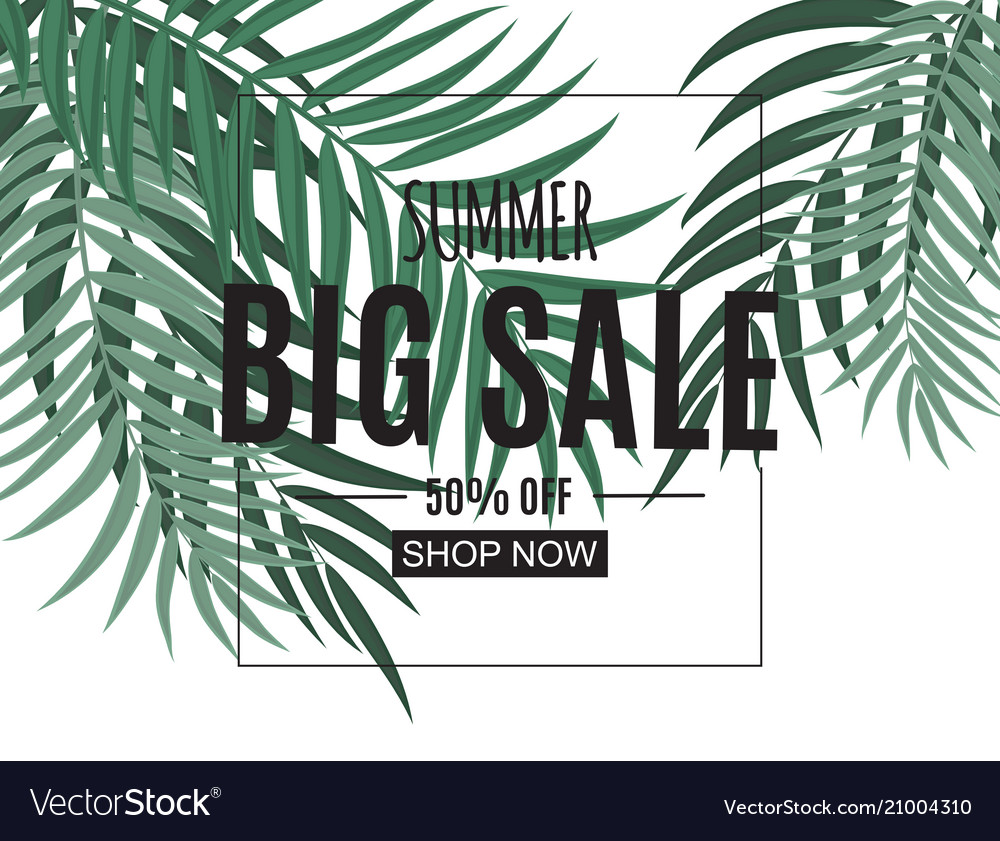 Abstract summer sale background with palm leaves