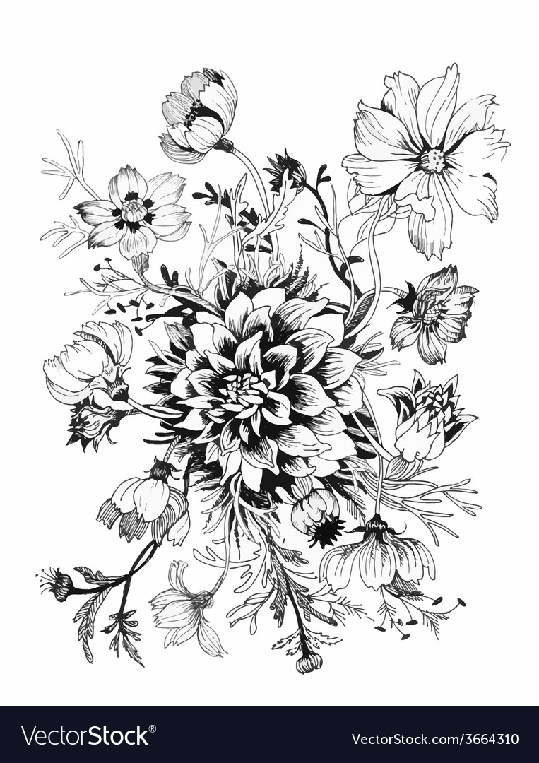 Flower Sketch Stock Photos and Images - 123RF