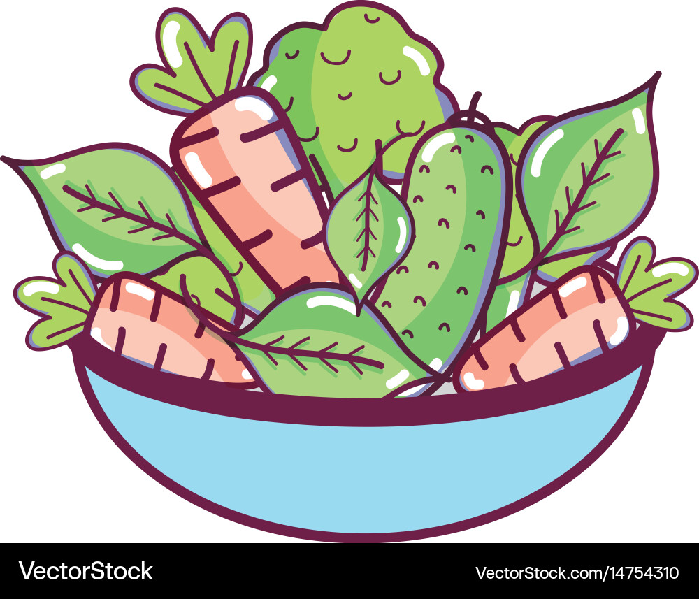 Fresh and delicious vegetables inside bowl Vector Image