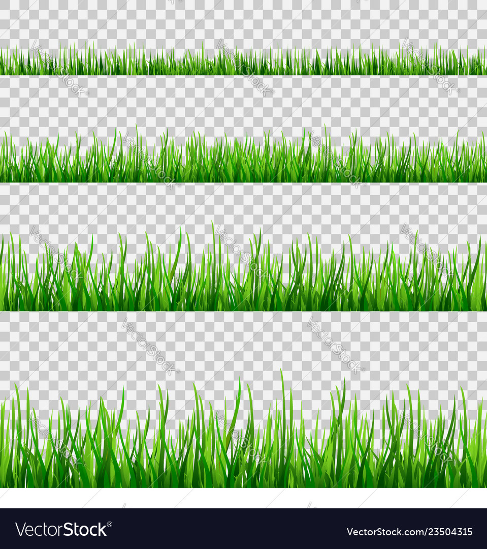 Grass seamless field pattern isolated on white vector image Grass seamless field pattern isolated on white