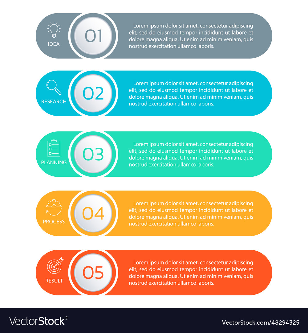 5 steps option or levels infographic design