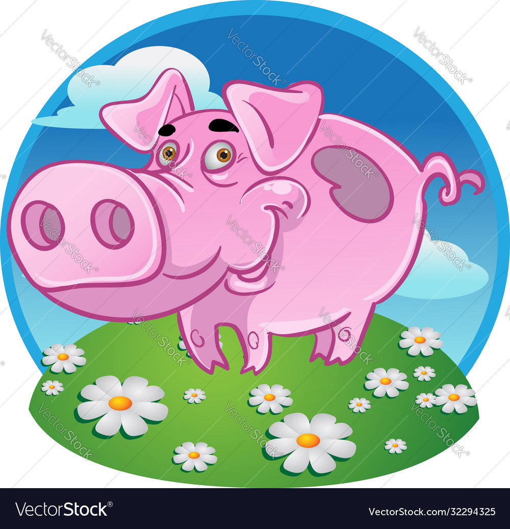 Funny pink pig on color background